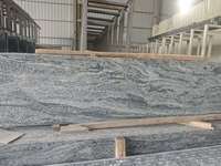 TY Shandong Granit Gris Blanc Naturel Écologique Moderne, Petite Dalle Brossée, Solution Complète pour Plans de Travail de Cuisine de Villa et de Parc