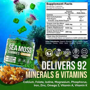 حلوى الطحالب البحرية النباتية بعلامة تجارية خاصة، حلوى طحالب البحر الأيرلندية مع التوت البري بشعار مخصص، مكمل غذائي عضوي لصحة الأمعاء - Product Image 2