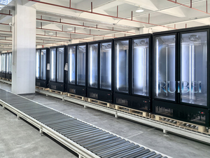 Double Door Vertical Glass <strong>Display</strong> <strong>Refridgerators</strong> and Freezers - Product Image 6