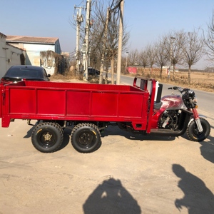 <span class=keywords><strong>Triciclo</strong></span> de Carga de Nueve Ruedas con Motor de 400 CC Refrigerado por Agua y Gran Capacidad de Carga - Product Image 2