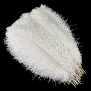 Plumas de Avestruz Teñidas Personalizadas al por Mayor, de 15-65 cm, <span class=keywords><strong>para</strong></span> Centros de Mesa de Boda, Fiestas, Carnavales, Disfraces, Decoración del <span class=keywords><strong>Hogar</strong></span> - Product Image 3