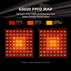 Bộ đèn trồng cây LED quang phổ toàn diện Spider Farmer 800W G8600 năm 2025, kích thước 5x5ft (150x150x200cm), kèm bộ dụng cụ trồng cây trong nhà đầy đủ phụ kiện - Product Image 4