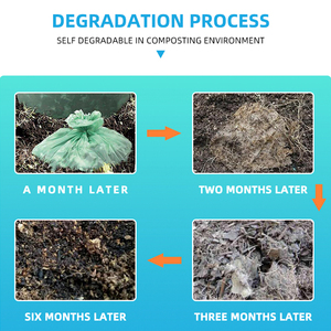 Không thấm nước Bưu Chính tự con dấu gửi thư bag10x13/6x 9/14. 5x10/Phong bì vận chuyển Poly Túi bưu phẩm, phân hủy sinh học compostable Túi bưu phẩm - Product Image 4