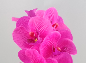 <span class=keywords><strong>Plante</strong></span> d'orchidée artificielle <span class=keywords><strong>en</strong></span> <span class=keywords><strong>pot</strong></span> de haute qualité, prix de gros imbattable, pour la décoration intérieure, mariages, remises de diplômes, Nouvel An - Product Image 4