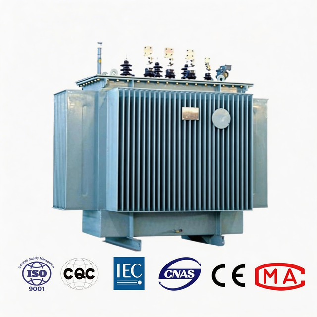Top-Tier 11kv 800kva 50/60hz Single/Three Phase Oil-Immersed Outdoor Distribution Transformer for Construction Sites
