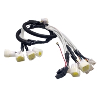 Arnés de Cables Personalizado para Automóviles, Arnés de Cables para Automóviles con Conector MOLEX, Fábrica Certificada IATF 16949
