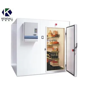 Blast Freezer -30 Refrigerator Materials Portable Chiller Room Refrigerator Materials for Meat