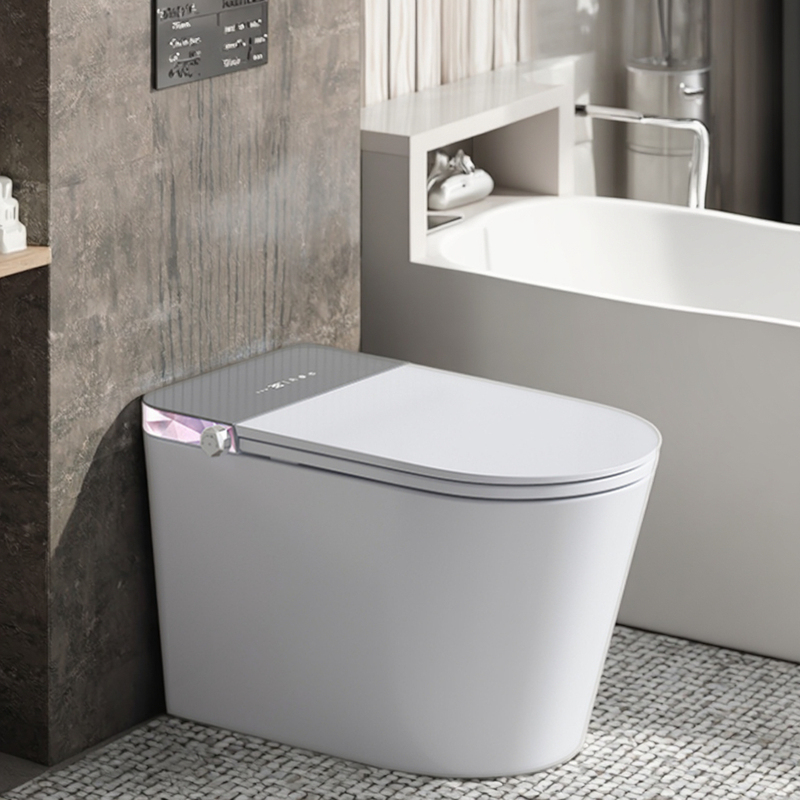 S007 Self Cleaning Heating Toilet Wc
