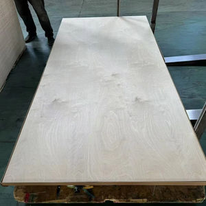 <span class=keywords><strong>Plaque</strong></span> de <span class=keywords><strong>contreplaqué</strong></span> de bouleau stratifié marin filmé 122x244cm, <span class=keywords><strong>contreplaqué</strong></span> MDF 4x8 - Product Image 2