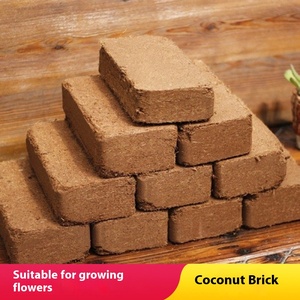 Hữu cơ dinh dưỡng đất cho hoa mọng nước trồng cây cung cấp bán buôn của nén dừa gạch than bùn 5kg khối - Product Image 2