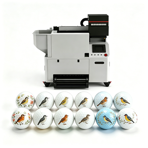 bibo New Hanhuang Industrial Automated UV <b>Printer</b> G5i Printhead UV <b>Ink</b> Auto Feeding Discharging USB Ceramic/Glass/Metal/Plastic - Product Image 5