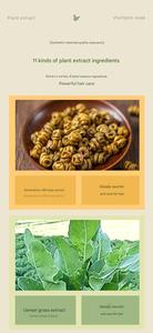 Usman Nature's Shampoo Bar Usman Grass calmante fortalece el cabello anticaspa a base de hierbas para el cuidado del cabello para mujeres y hombres - Product Image 6