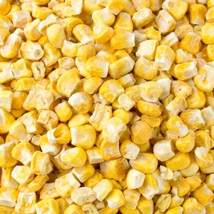 Bulk Packaging High Quality Lyophilized Vegetable Factory Direct Freeze Dried Corn For Band Manufacturer