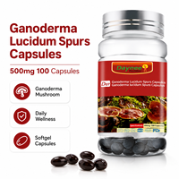 Capsules de Ganoderma Lucidum en gélules molles à marque privée – Soutien quotidien pour le bien-être et la vitalité – Fabricant en gros OEM/ODM
