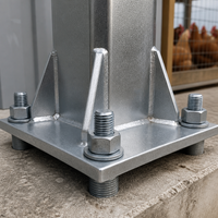Structure en acier galvanisé à chaud haute résistance pour poulailler, avec cadre préfabriqué en acier et système d'abreuvement automatique par pipettes et ventilation.