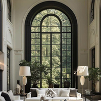 Ventanas de hierro forjado minimalistas de lujo con marco negro fino y estilo de vidrio moderno