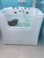 Baignoire SPA professionnelle pour animaux de compagnie, grande baignoire pour chiens et chats avec jets d'eau massants pour salon de toilettage
