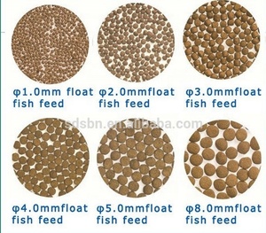 Feed Peixe Aquático Fazendo Linha De Máquinas De Produção De Alimentação De Peixe Flutuante - Product Image 4