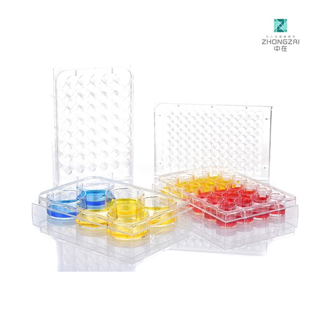Factory Direct Medical Grade PS Cell Culture Plate 6/12/24/48/96 Well Tissue Culture Treated Sterile OEM 3-Year Warranty