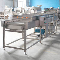 Appelwasmachine mango aardbeienwasmachine reinigingsmachine commerciële industriële fruit- en groentewasmachine met belletjes