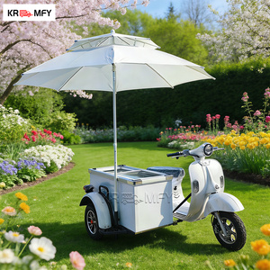 Vélo cargo électrique italien avec vitrine réfrigérée pour glaces et sorbets, en fibre de verre, pour la vente de café et de produits alimentaires - Product Image 1