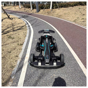W Pro 2 Dual Motor High Power Adjustable Speed <b>Drift</b> - Product Image 1