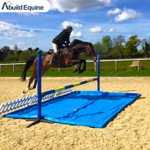 Einfach zu bewegliche Reitsport-Aktivitätausrüstung Pferdeprodukte Pferdeschule Schausprüge