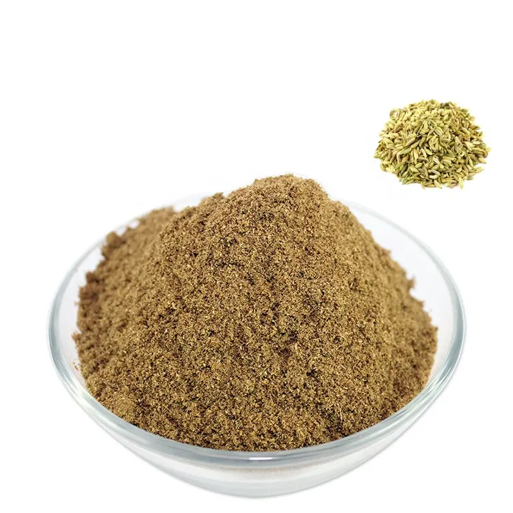 High Quality Pure Natural Good Price Fennel Powder Bulk Fennel Seeds Powder