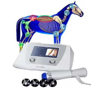 Peralatan Terapi Gelombang Kejut Medis Dokter Hewan, untuk Rehabilitasi Kuda dengan Masalah Punggung