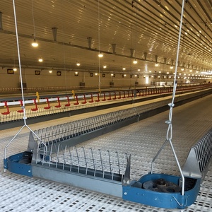 Système d'alimentation automatique en chaîne pour élevage de poulets reproducteurs, équipement d'élevage de volailles, mangeoire en chaîne - Product Image 3