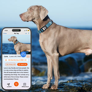 Collar de Nailon de Lujo para Perros, con Hebilla Ajustable, Reflectante, Diseño de Moda, Software Personalizado Smart ID, Fabricante - Product Image 3