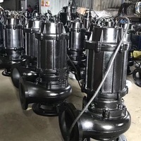 Pompe submersible broyeuse WQ à haute pression à commande automatique, anti-colmatage, 220V/380V, garantie 1 an, pour drainage de sous-sol et usage municipal