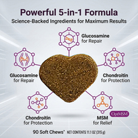 Pevet Hip Joint Soft Chews Anjing Kucing Formula Pendukung Mobilitas Glukosamin Kondroitin MSM Asam Hialuronat Suplemen Sendi OEM
