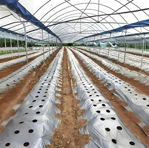 Film de paillage agricole compostable et biodégradable en plastique blanc, noir, argenté, largeur 80, 90, 100 cm, rouleau de 300, 600, 900 m - Product Image 1