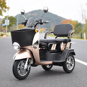 Tricycle électrique 1200W 48V/60V à 3 roues pour personnes âgées et handicapées, design de siège multifonctionnel, vente en gros - Product Image 2