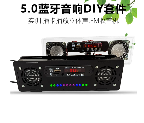 Speaker Kit Card Insertion Stereo LED Sound Control Level Indicator FM Radio with Shell DIY Parts