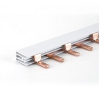 2P 63a MCB Pin Type Bus bar Cuivre Busbar Pour Panneau Électrique