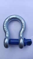 Shackle Baja Paduan Tempa G209 dengan Pin Sekrup untuk Tali Pengikat Ratchet PES Kapasitas Angkat 2500kg