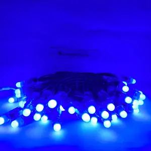 DIY Ws2811 WS2812 Rgb Smart indirizzabile luci prezzo Led per la vendita modulo di animazione di controllo illuminazione ambientale luce Pixel