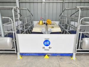 Enclos <span class=keywords><strong>de</strong></span> mise bas pour truies pas chers, double enclos <span class=keywords><strong>de</strong></span> mise bas pour porcs, produit à vendre - Product Image 4