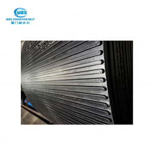 Pasokan pabrik di Cina EP300/2 karet Filter bergerak anti-selip konveyor sabuk konveyor - Product Image 6