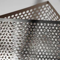 Grilles décoratives personnalisées en acier inoxydable 304 perforées pour haut-parleurs