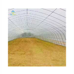 <span class=keywords><strong>Serre</strong></span> Simple de taille Standard 8x30, petit et bon marché Type de Tunnel à portée unique pour légumes avec système de Ventilation - Product Image 4