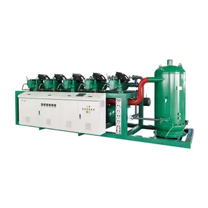 Unidade de condensação do sistema de refrigeração do equipamento de refrigeração do compressor para a sala de armazenamento frio