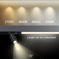Surmontor Mini LED système d'éclairage de piste magnétique projecteur linéaire Sabinet affichage d'étagère LED lumière de piste magnétique