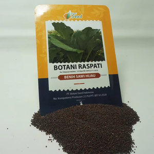 โบตานี ราสปาตี: ผู้จัดจำหน่ายเมล็ดผักชีฝรั่งพันธุ์ให้ผลผลิตสูง ไม่ขม - Product Image 1