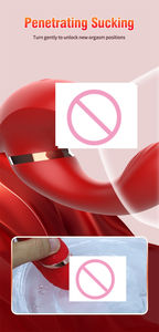 Diskon besar mainan seks silikon pasangan wanita Vibrator penghisap rotasi kepala ganda elektrik tahan air dapat diisi ulang - Product Image 5