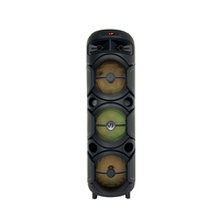 Enceinte portable 8 pouces sans fil Bluetooth 5.0 professionnelle rechargeable pour DJ et karaoké, extérieure, RGB 20W, avec trolley et haut-parleurs intégrés pour fêtes