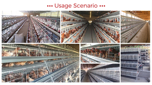 Tip 3, 96 Kuş Kapasiteli Galvanizli Tavuk Kafesi (Yumurtacı Tavuk Çiftliği İçin) - Product Image 4