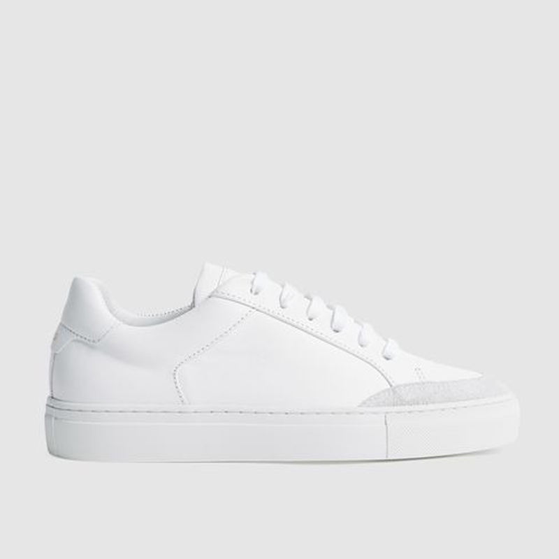 Color scheme Color 3